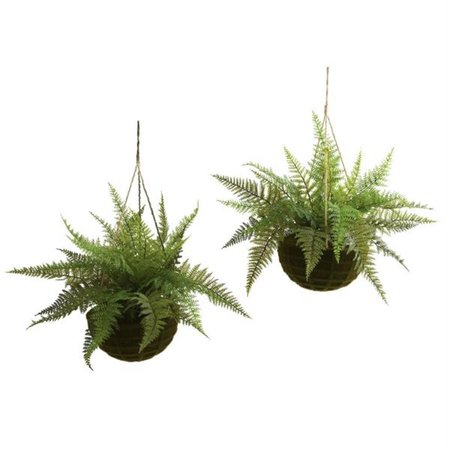 DARE2DECOR Leather Fern with Mossy Han- ng Basket - Indoor-Outdoor, 2PK DA664568